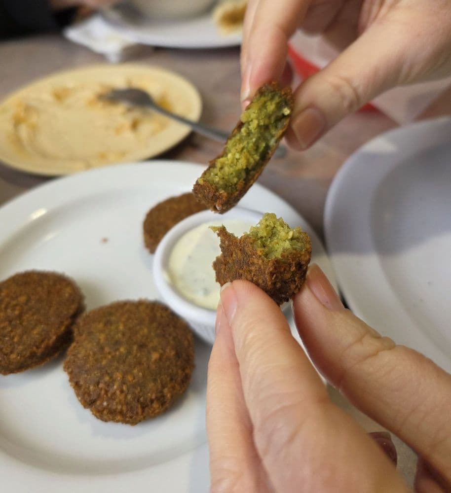 Safura's Mediterranean Cuisine — photo 1