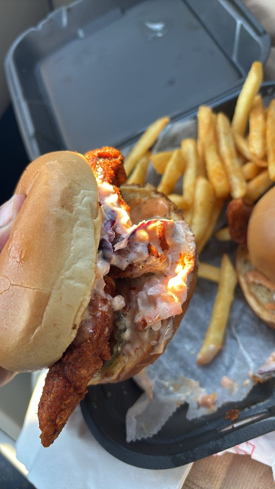 Big Birdz Hot Chicken — photo 5