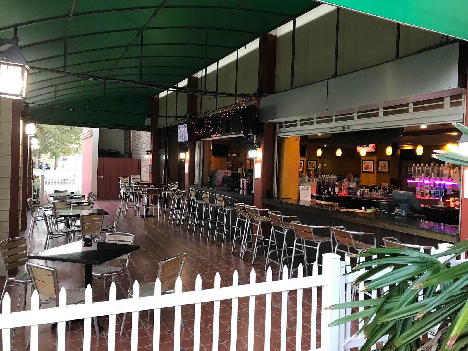 Royal Orchid — photo 2