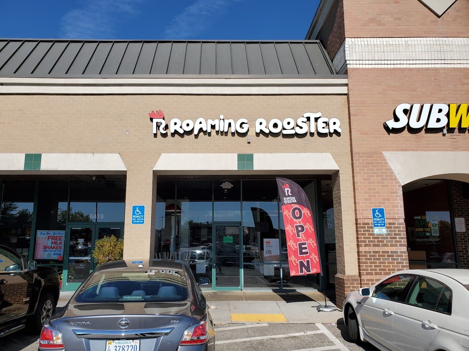 Roaming Rooster — photo 1