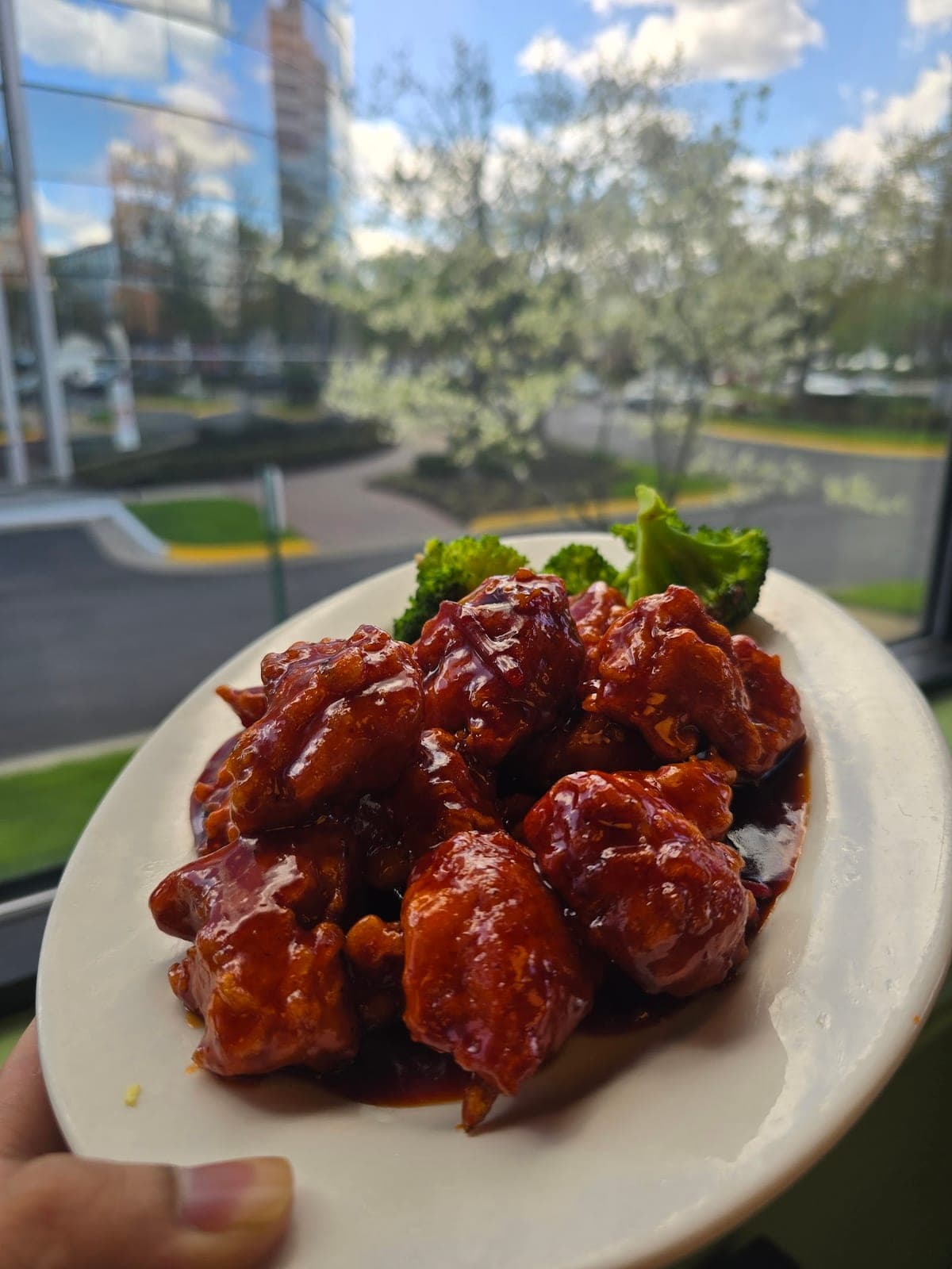 Hunan Village Tysons — photo 3