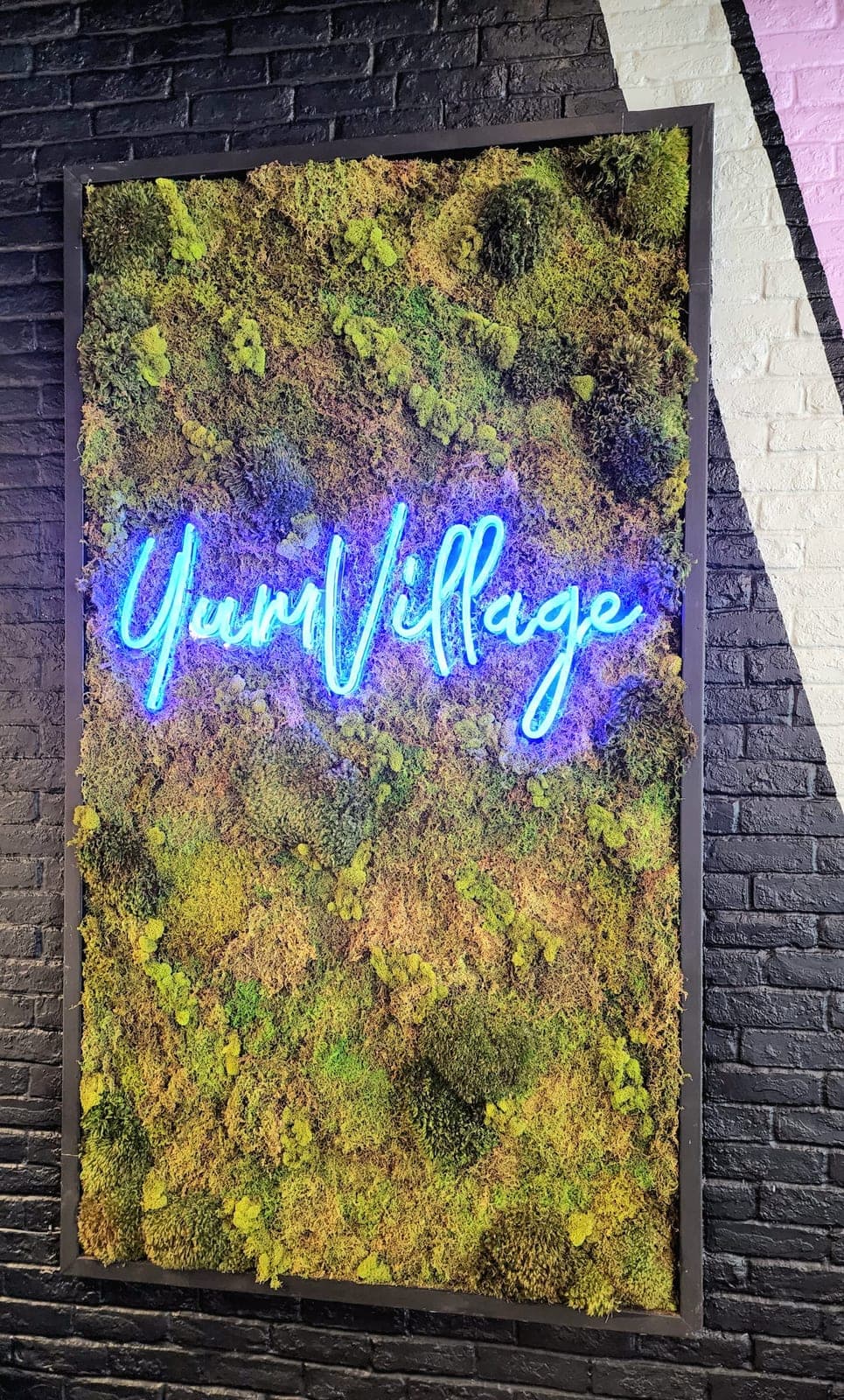 Yum Village — photo 1
