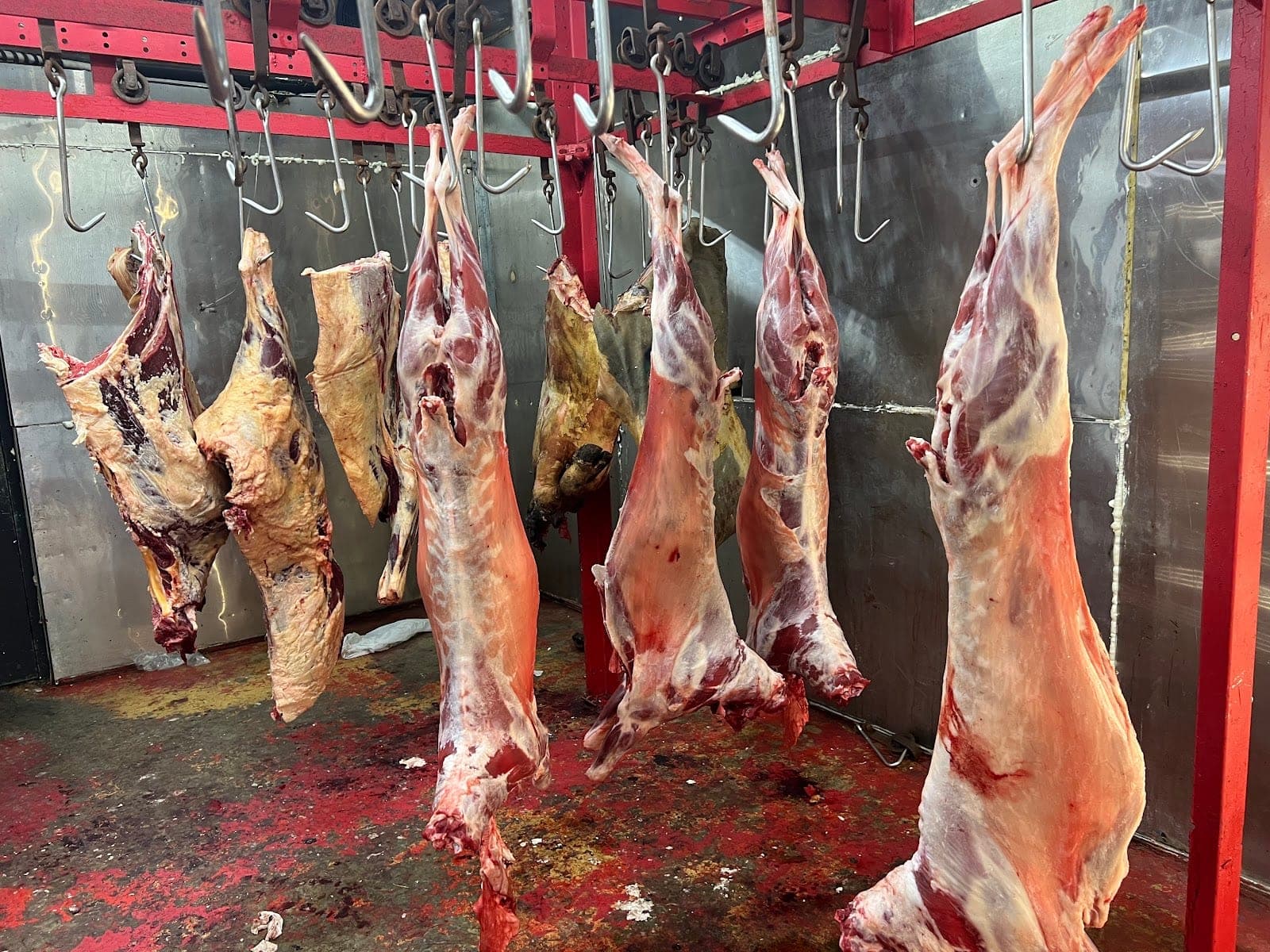 Musa's Slaughterhouse — photo 4