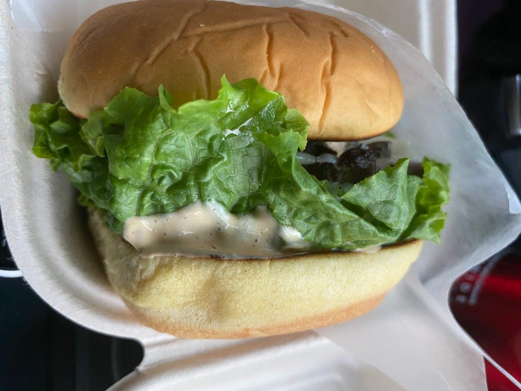 Slider Rider — photo 1