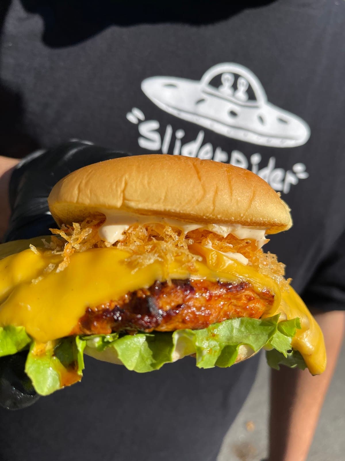 Slider Rider — photo 2