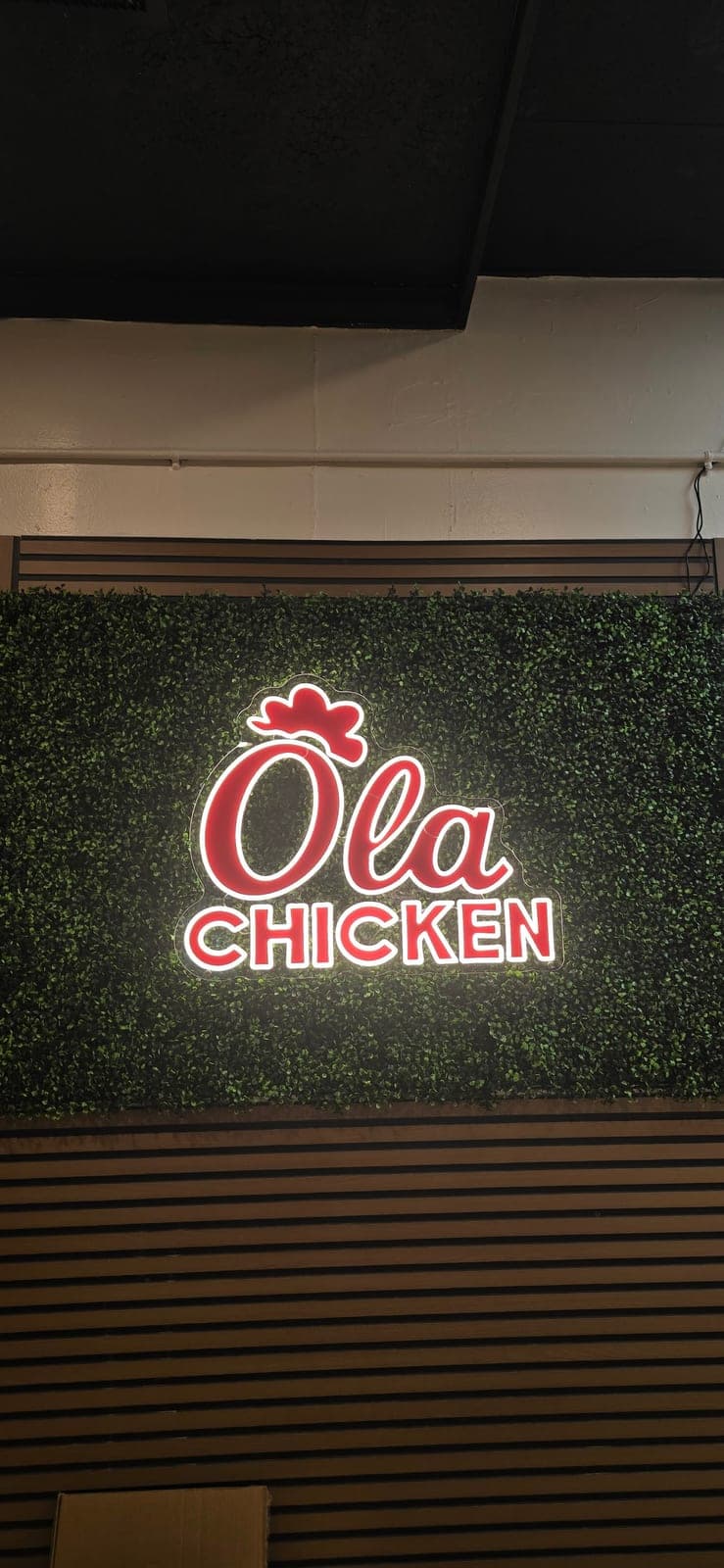 Ola Chicken — photo 5