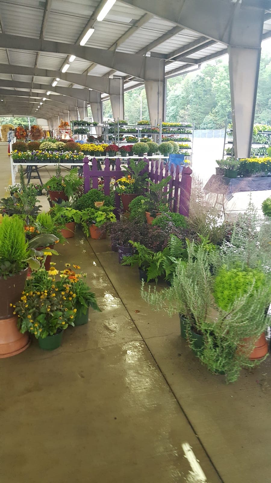 Charlotte Regional Farmers Market — photo 1