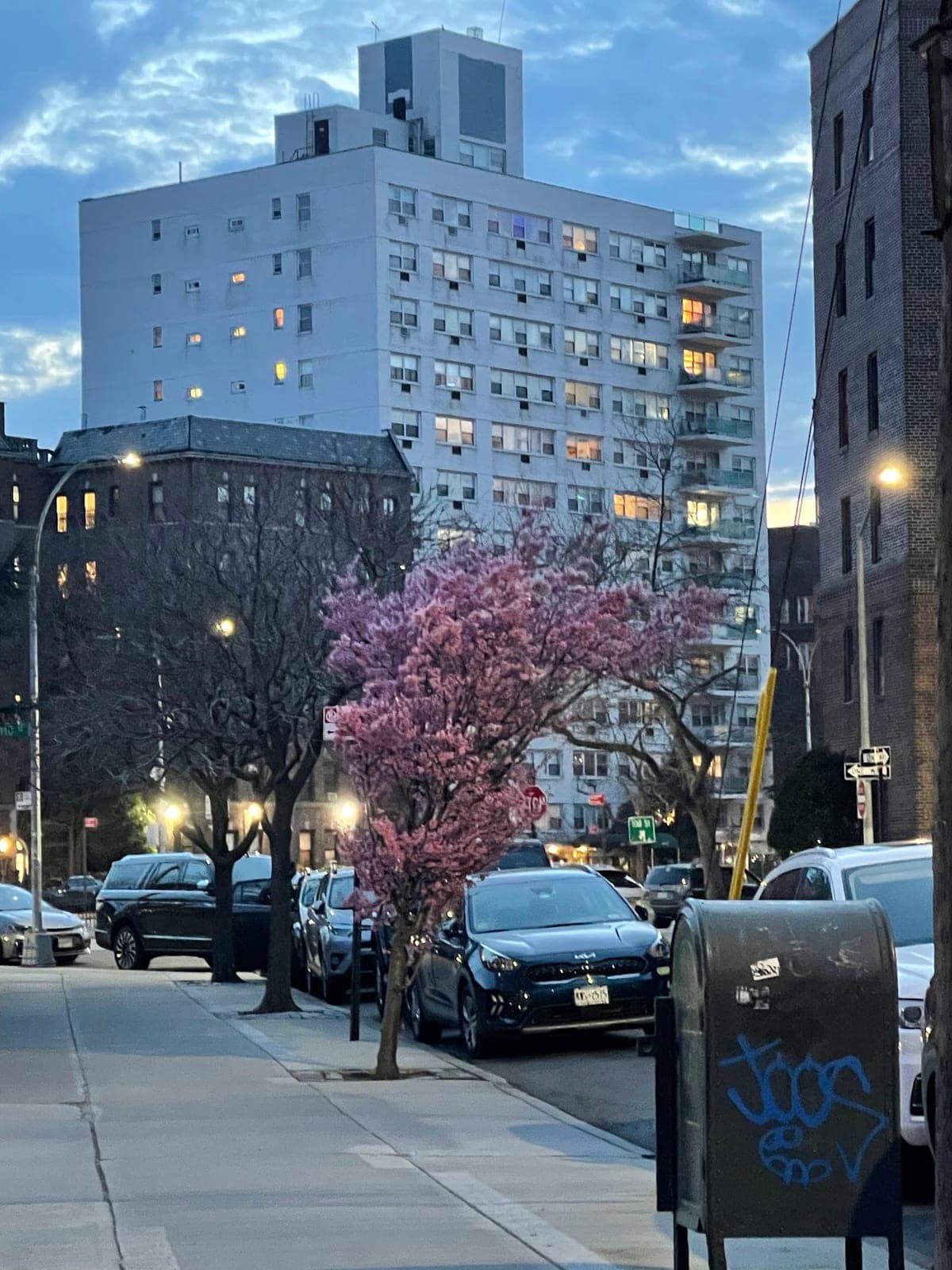 Kennedy — photo 1