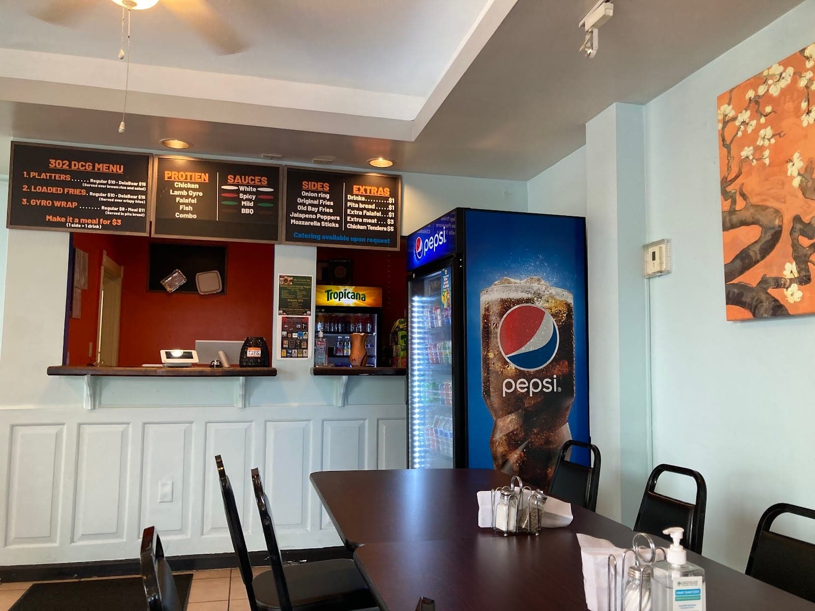 Delaware Chicken & Gyro — photo 3