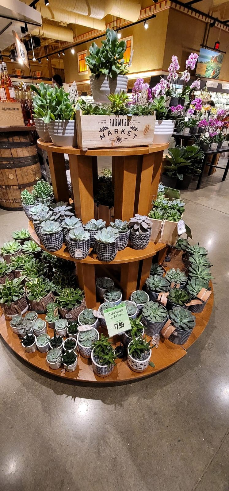 Wegmans — photo 1