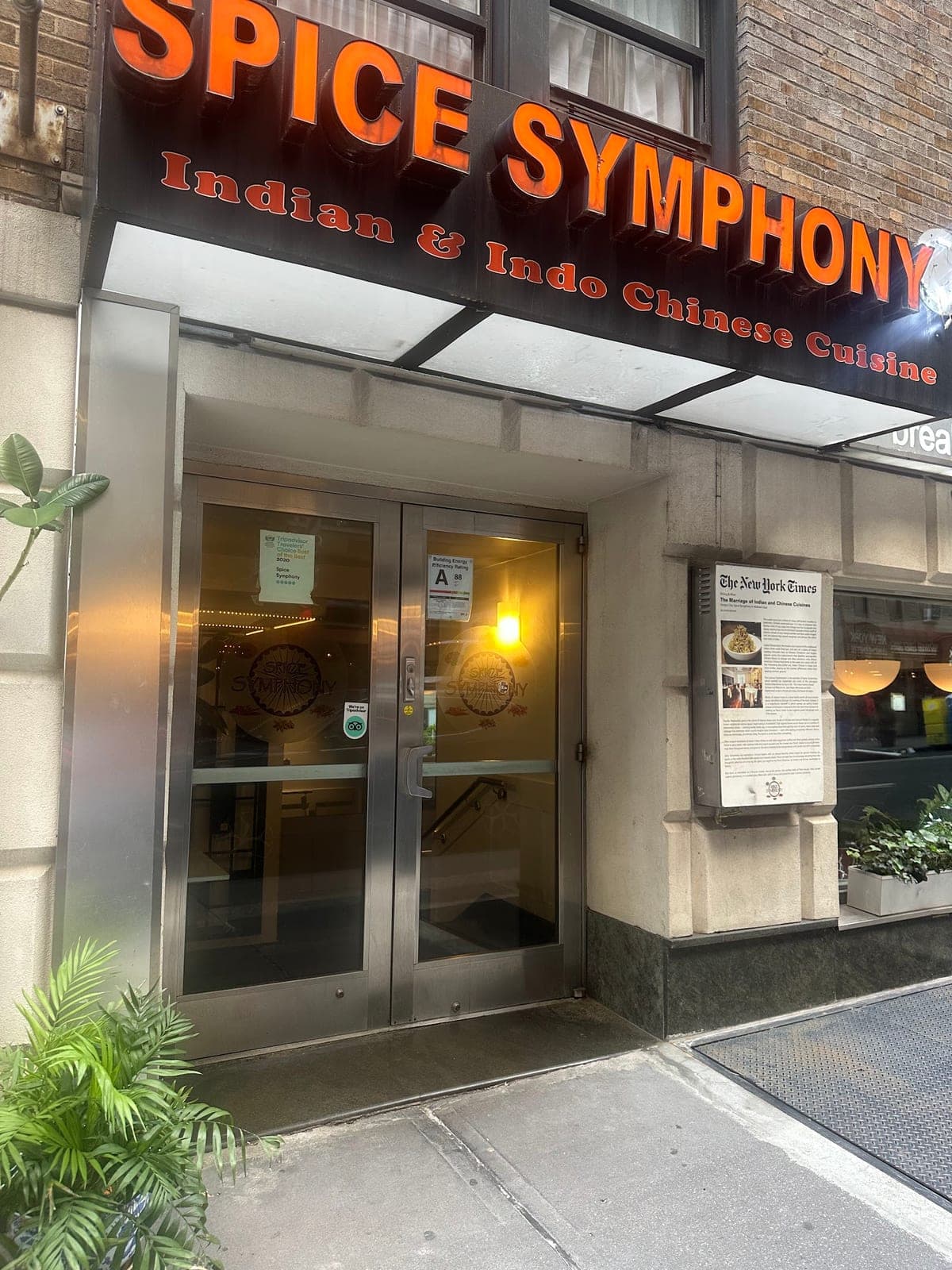 Spice Symphony — photo 2