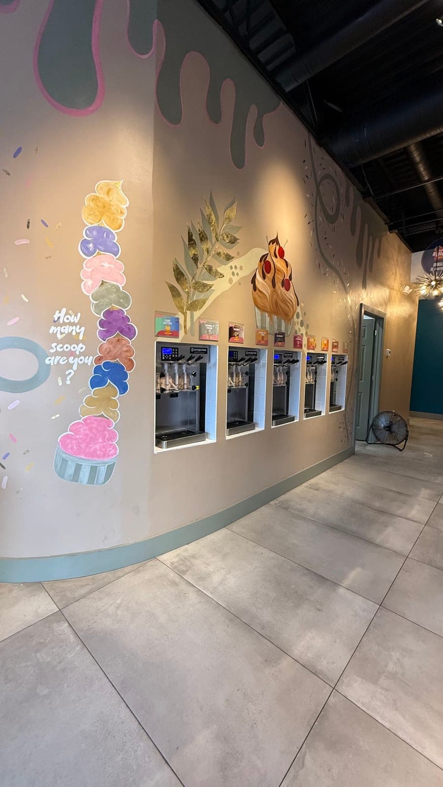 Zeina’s Frozen Yogurt — photo 2