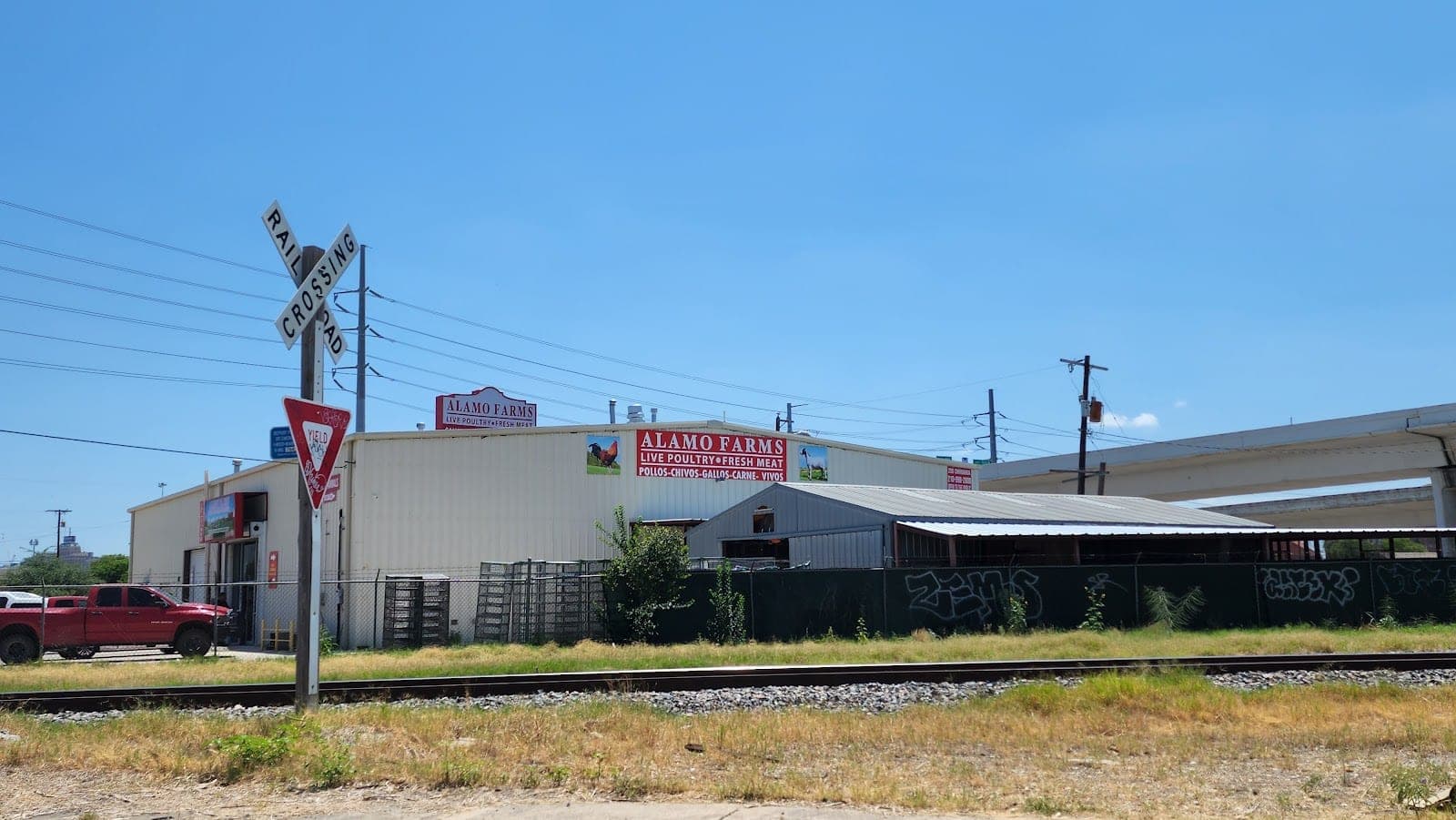 Alamo Farms — photo 1
