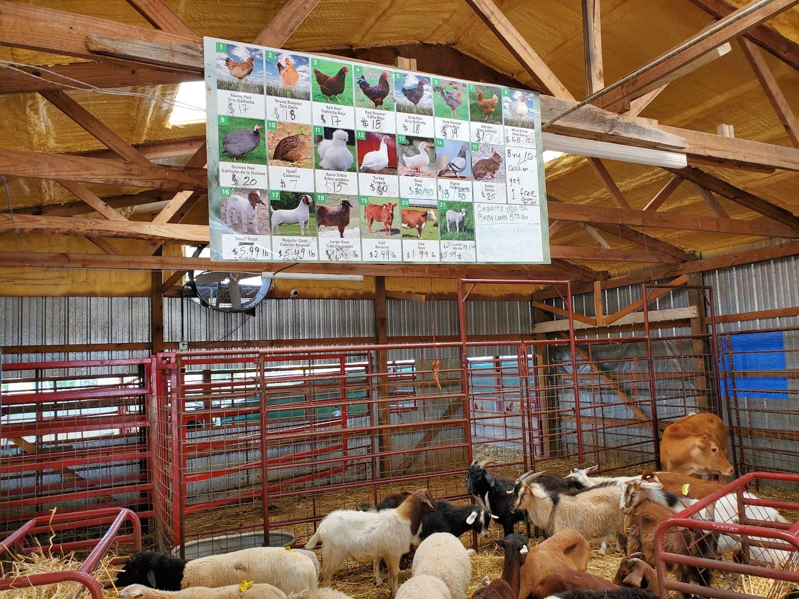Alamo Farms — photo 2