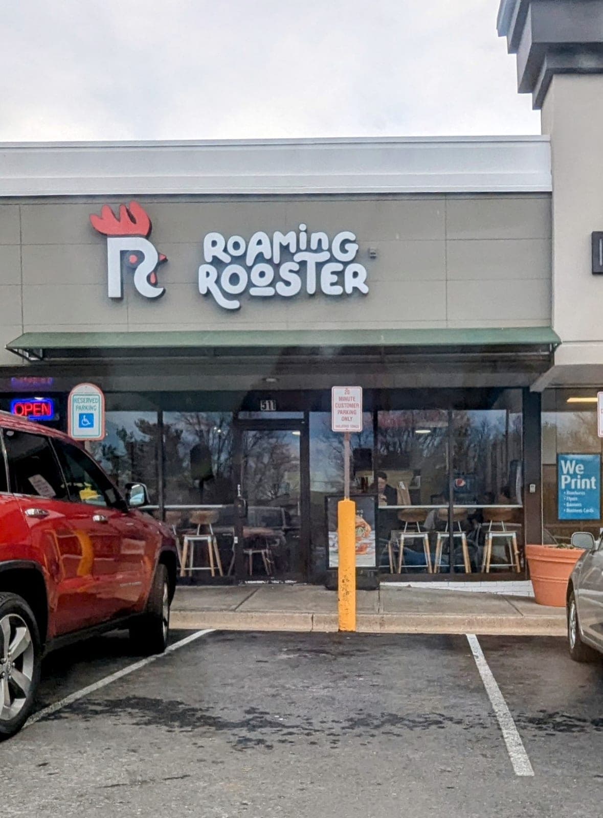 Roaming Rooster — photo 5