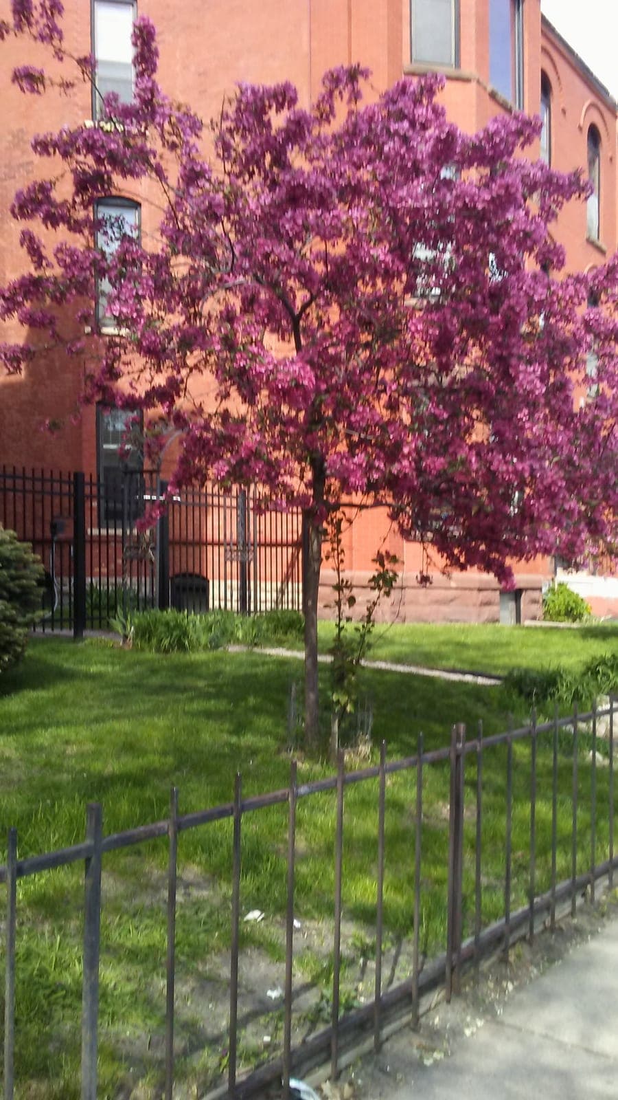 Elliot Park Grocery — photo 2