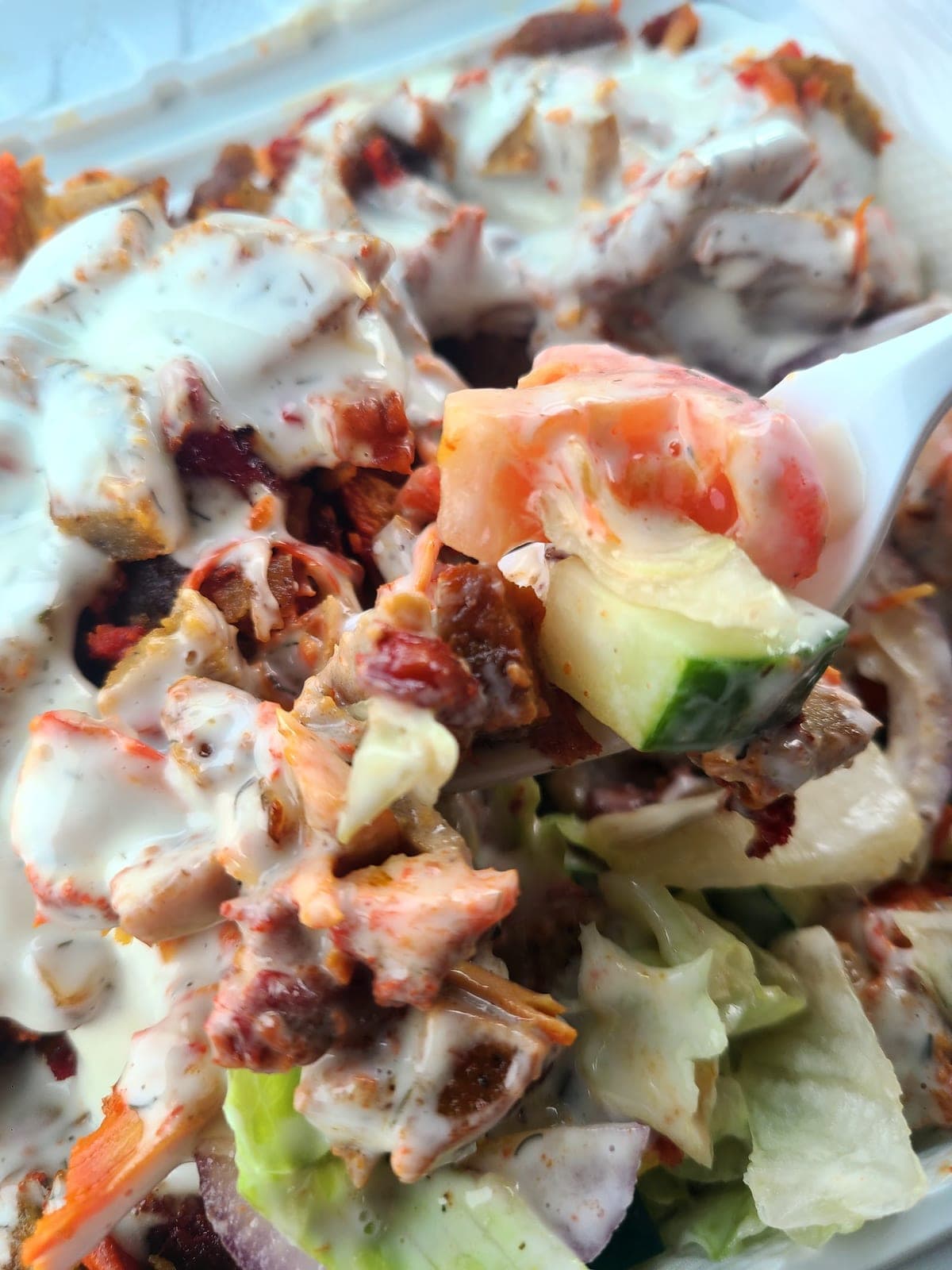 Moe's Halal Food — photo 6