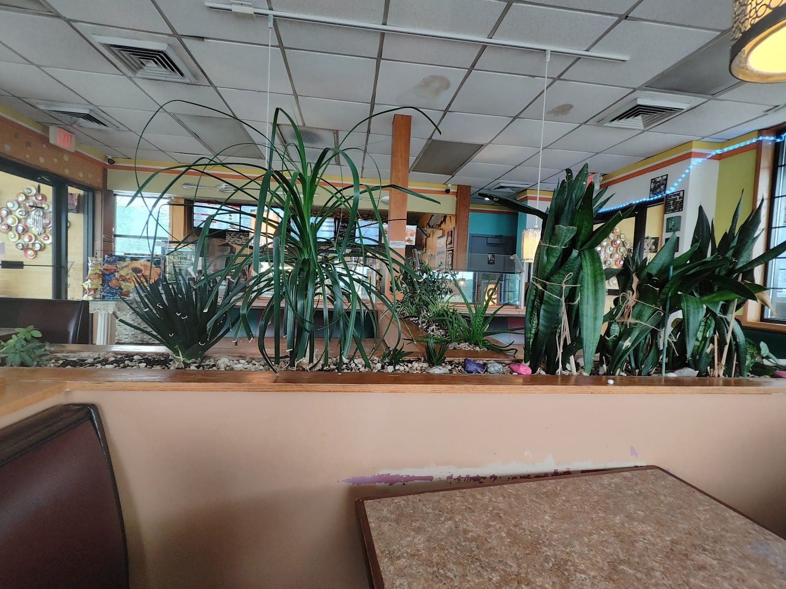 St Louis Taco and Pita Grill — photo 3