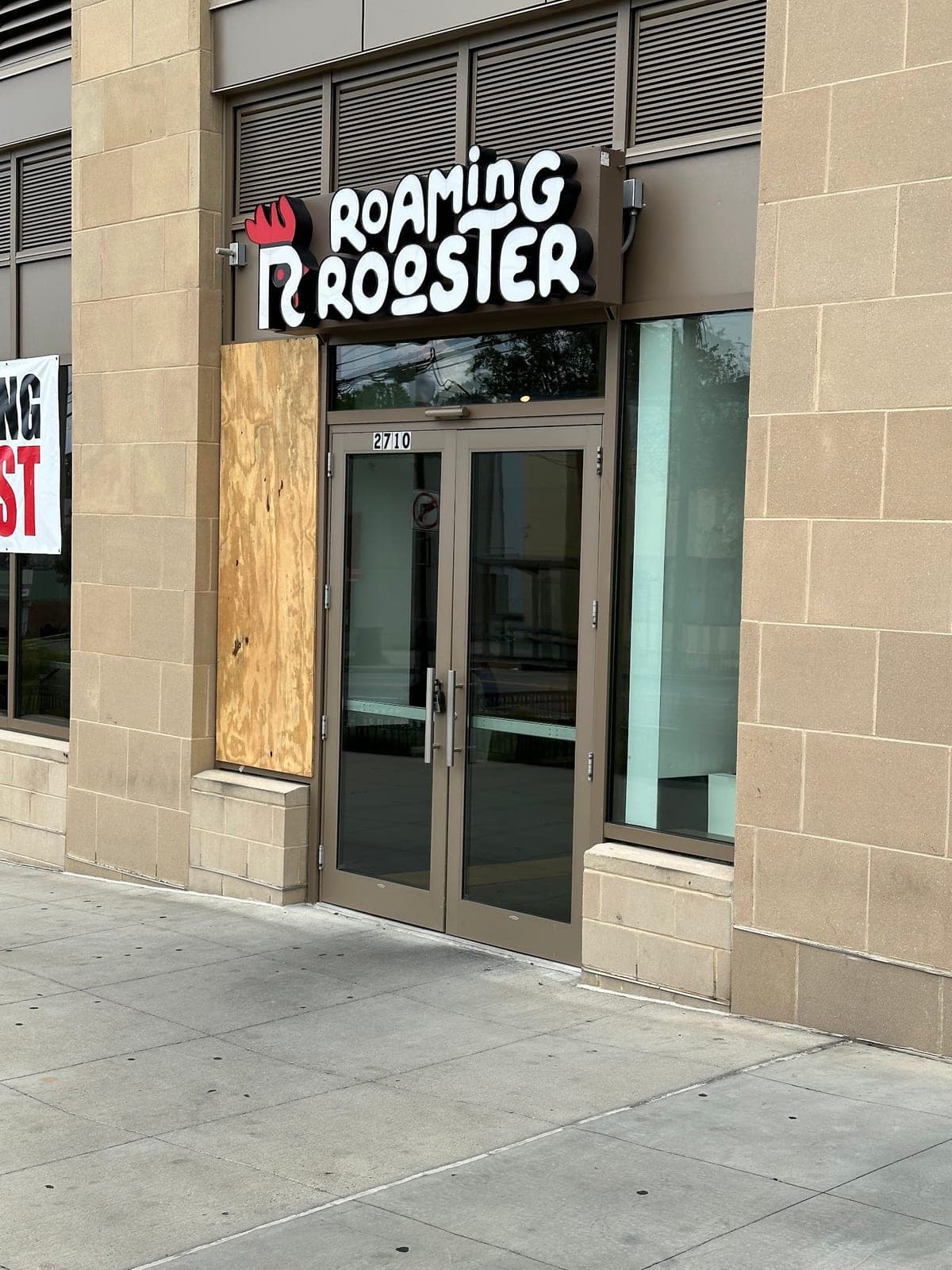 Roaming Rooster — photo 3