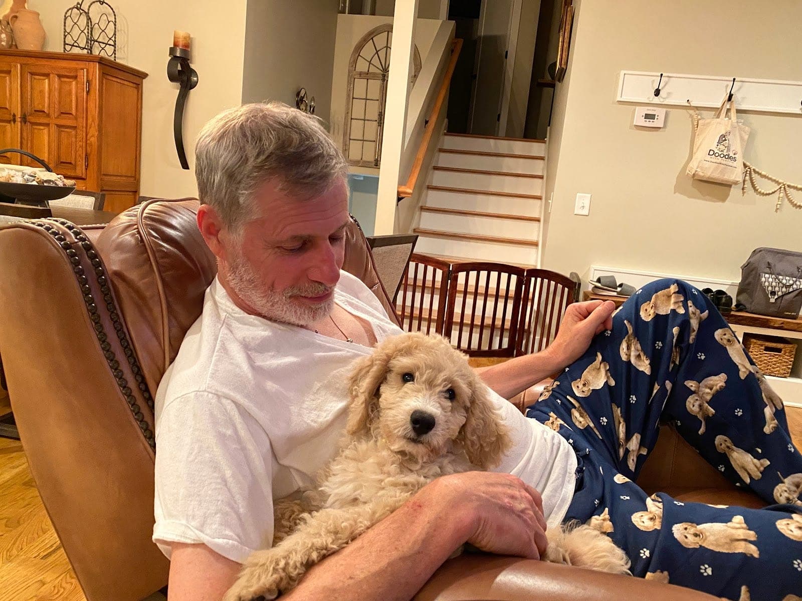 Noodles & Doodles — photo 1