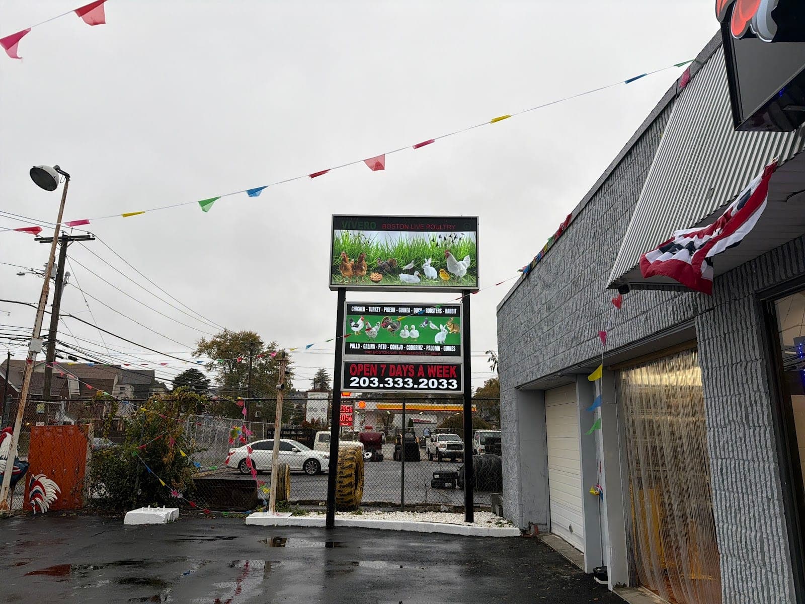 Boston Live Poultry Chicken — photo 2