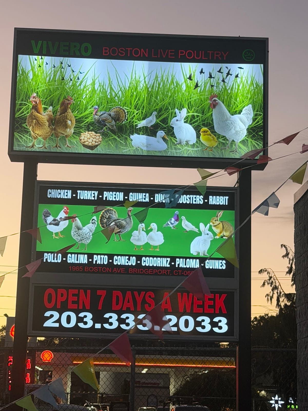 Boston Live Poultry Chicken — photo 6