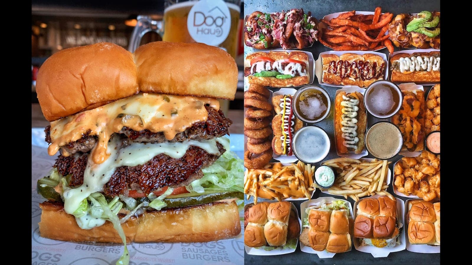 Dog Haus — photo 5