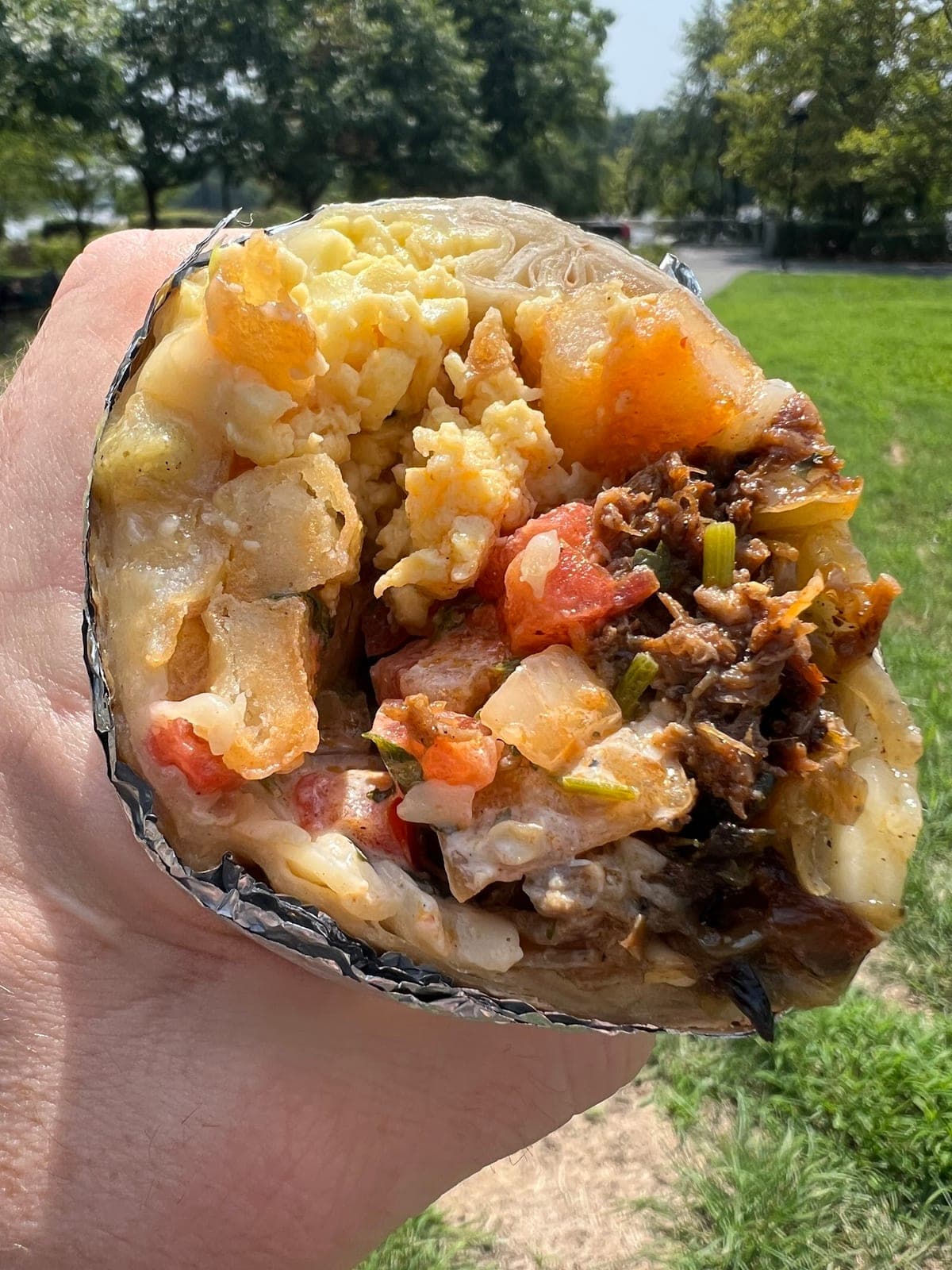 Monstera Burrito — photo 1
