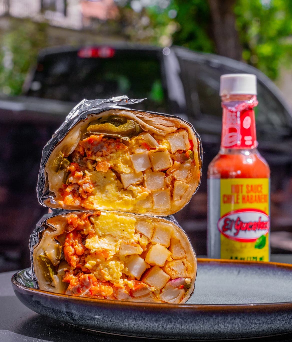 Monstera Burrito — photo 4