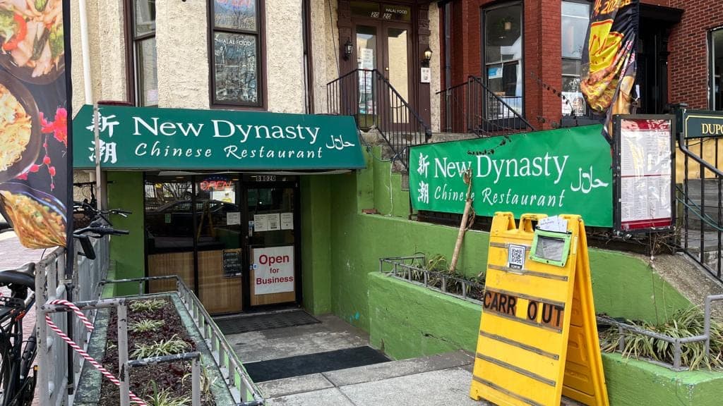 New Dynasty — photo 1