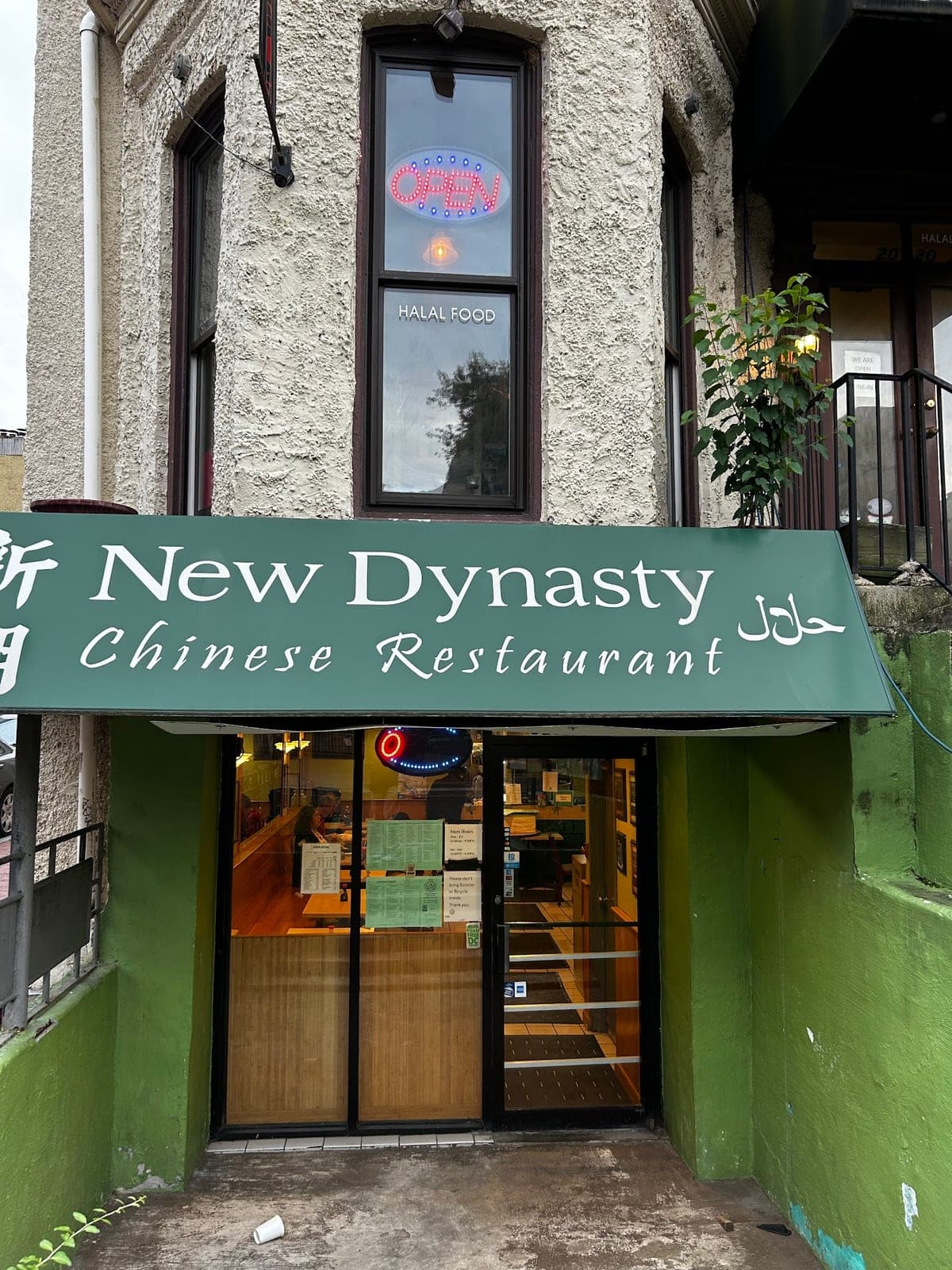 New Dynasty — photo 3
