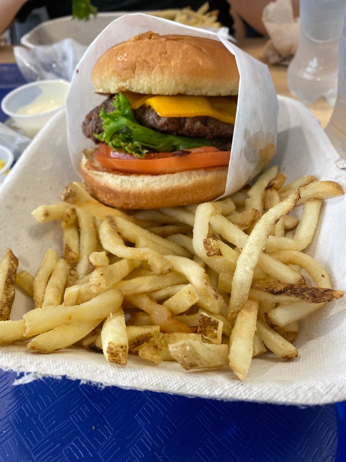 Elevation Burger — photo 4