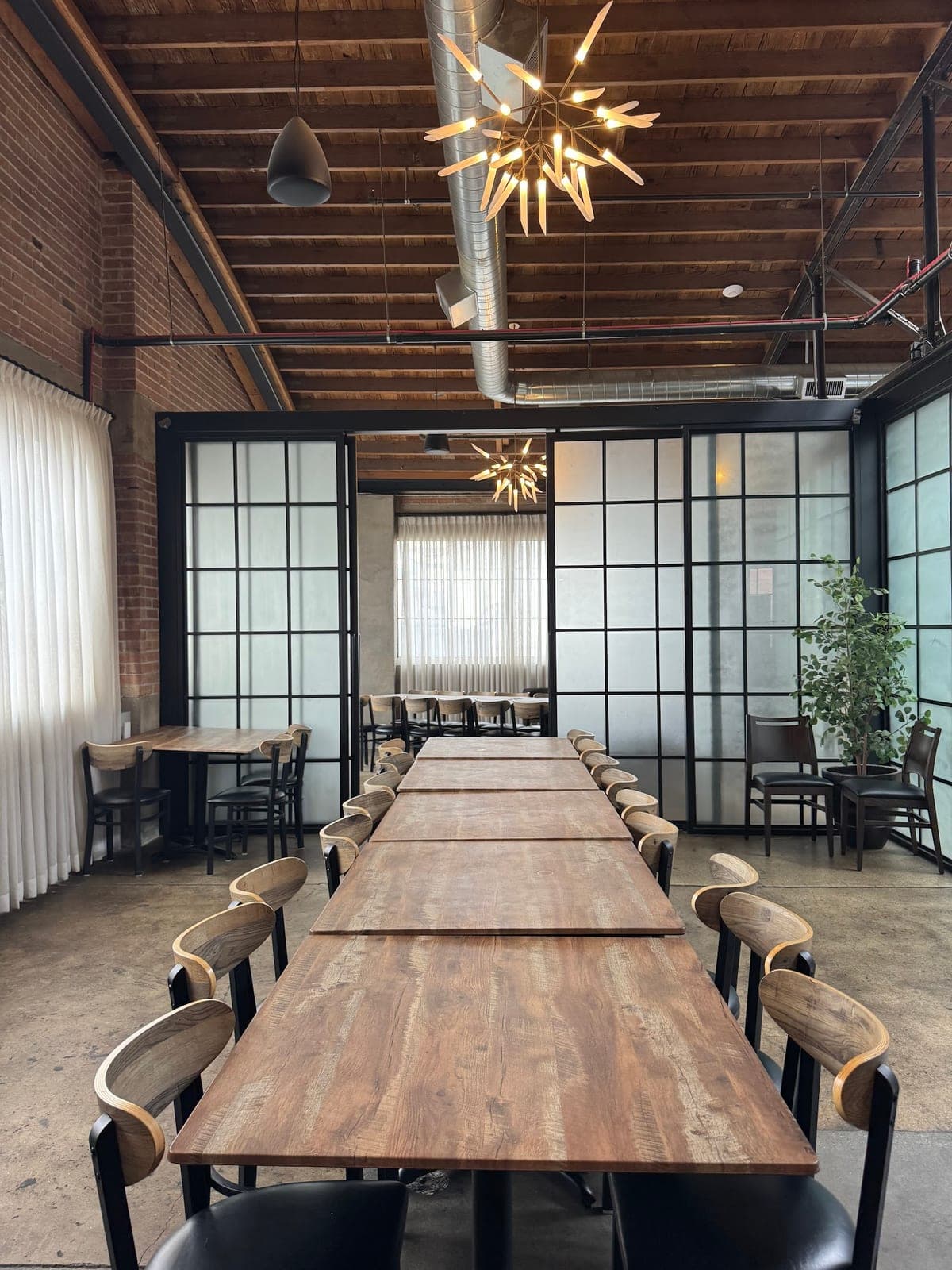 Olives Oasis — photo 2