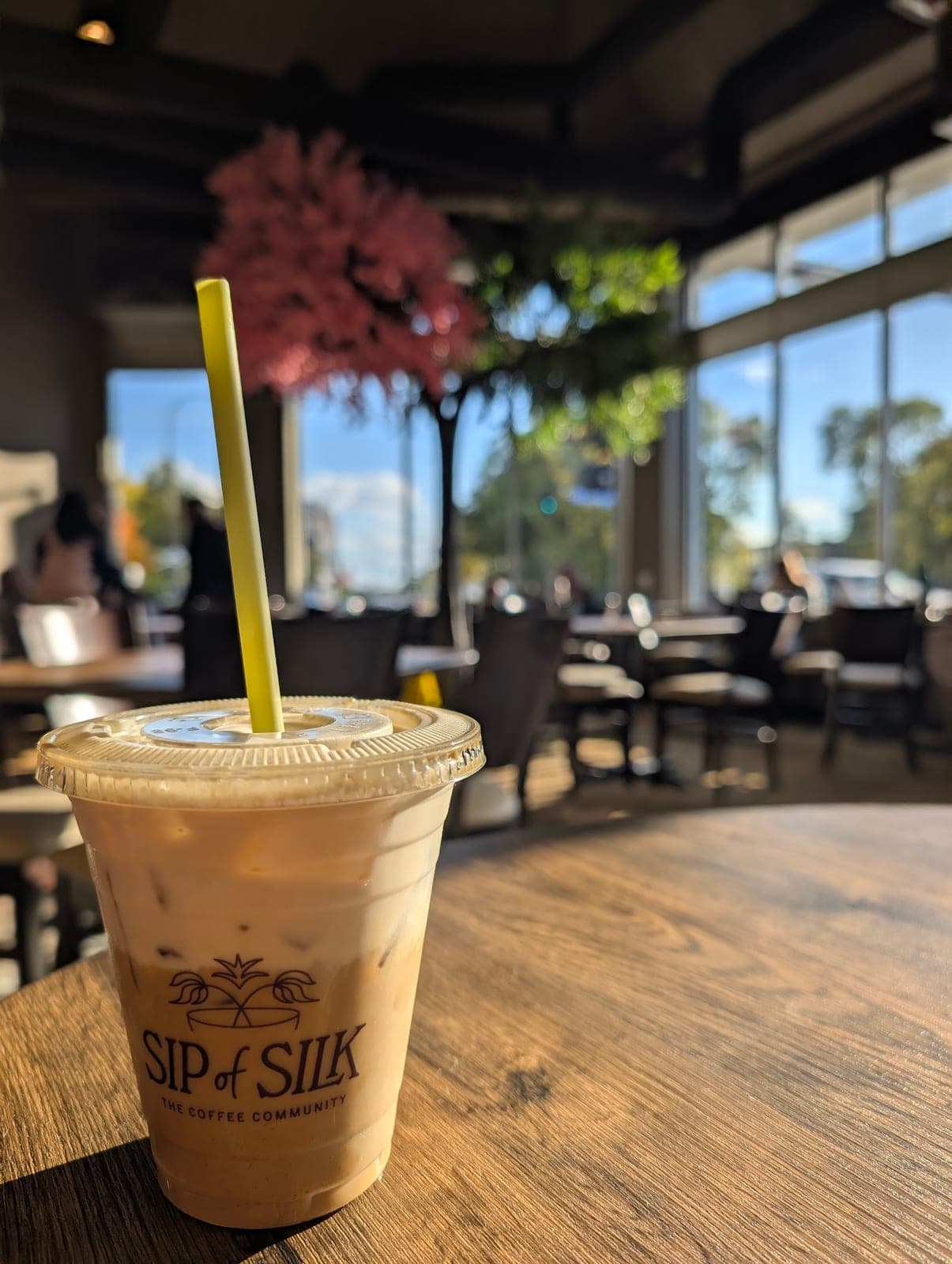 Sip of Silk — photo 1