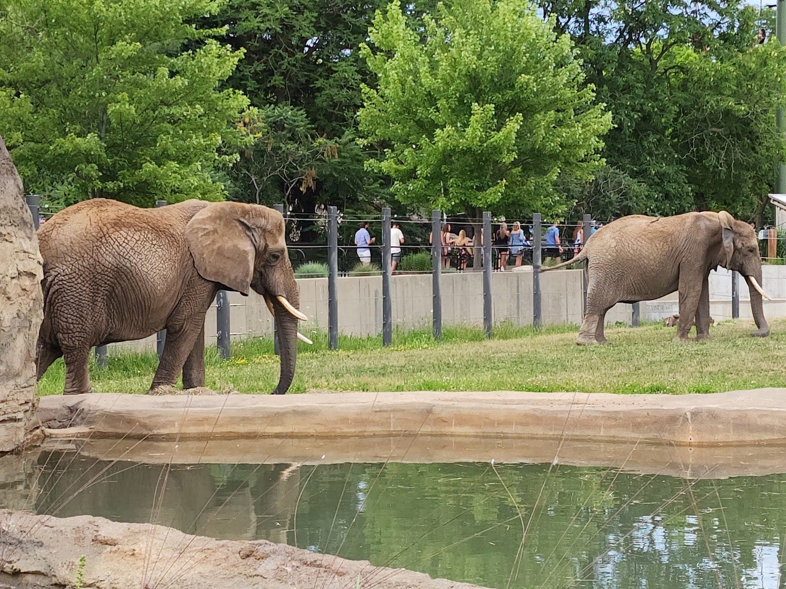 Zoo A La Carte — photo 3