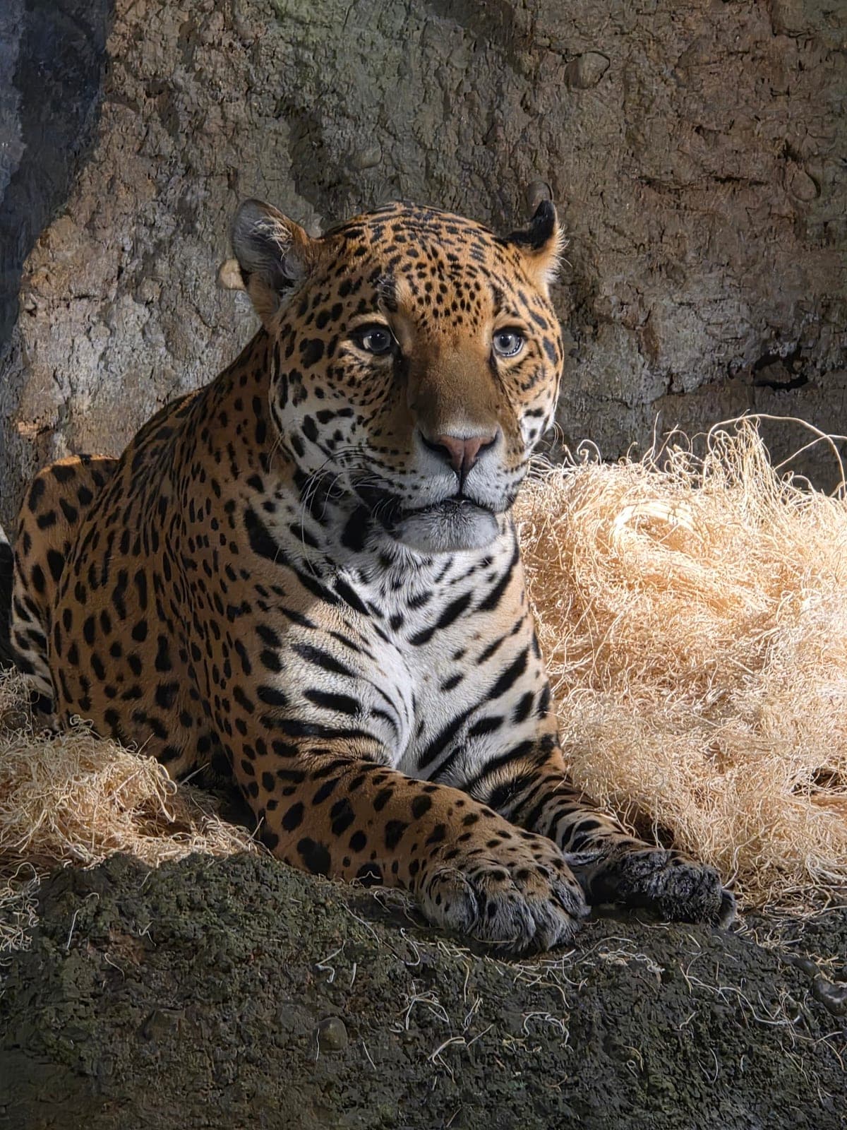 Zoo A La Carte — photo 5